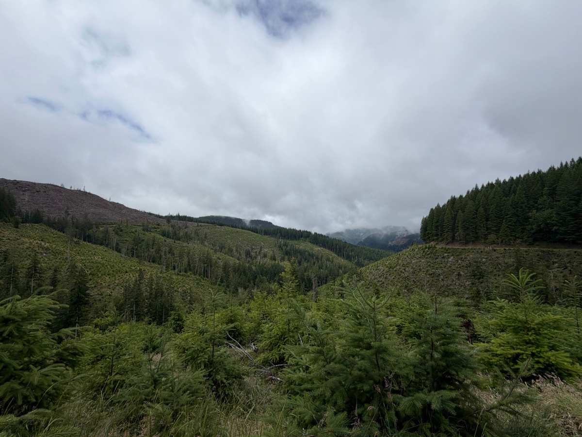 Salmonberry Road trail photo