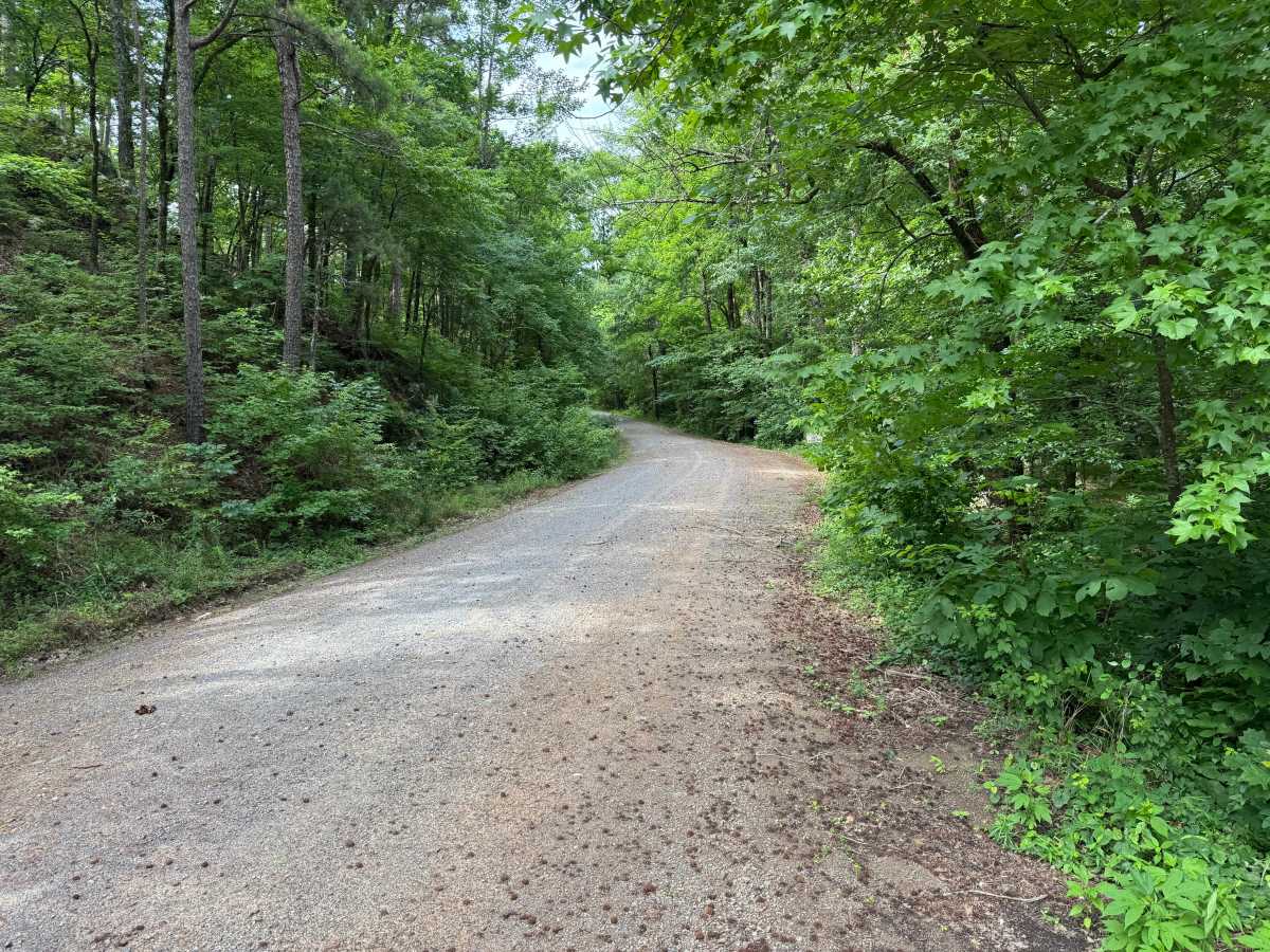 Gladstone trail photo