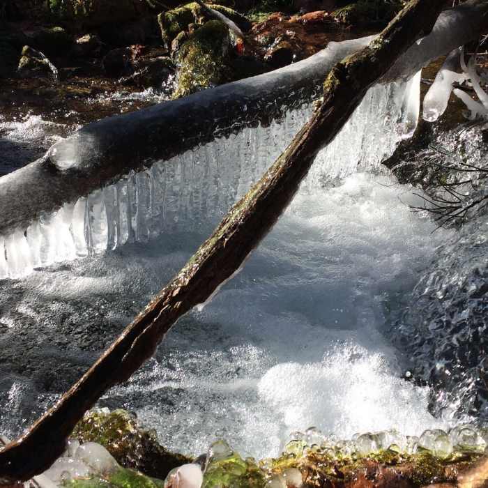 Near Sand Spring Loop