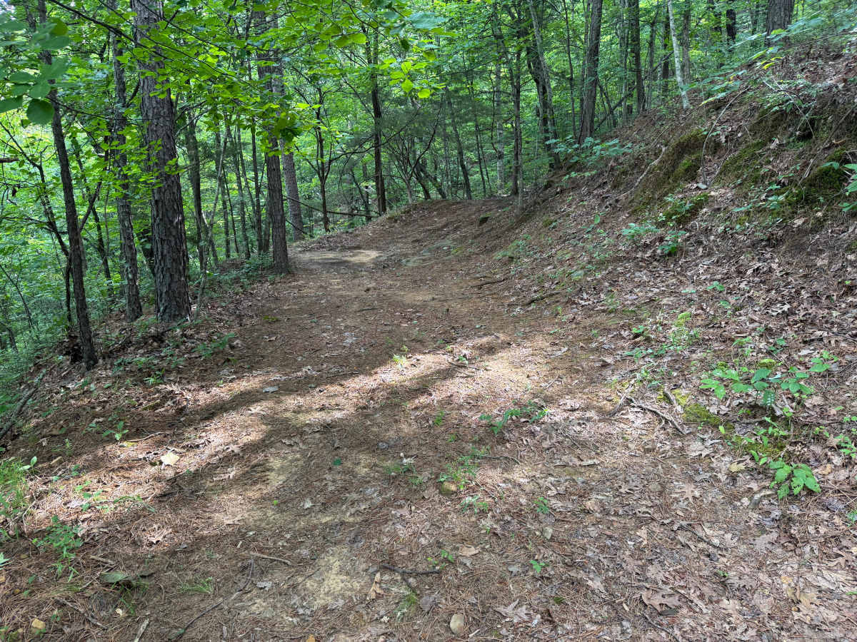 Minnow Creek photo 6
