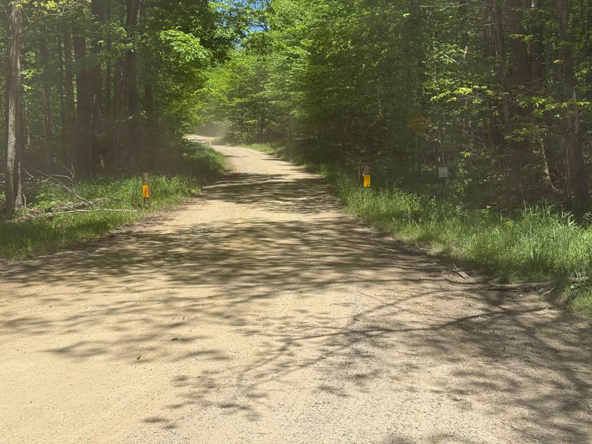 McDade Run - FS 463 photo 2