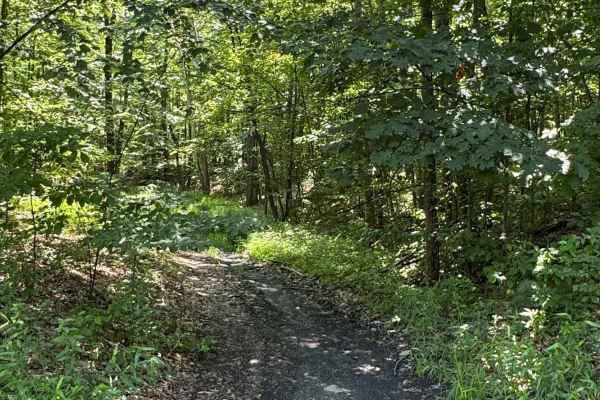 Trail 44