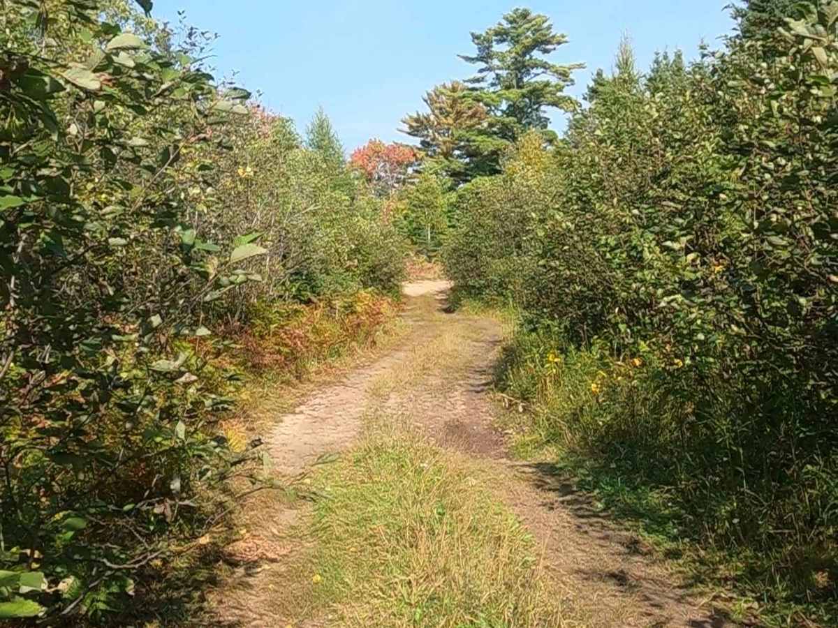 Tucker Lake Trail photo 3
