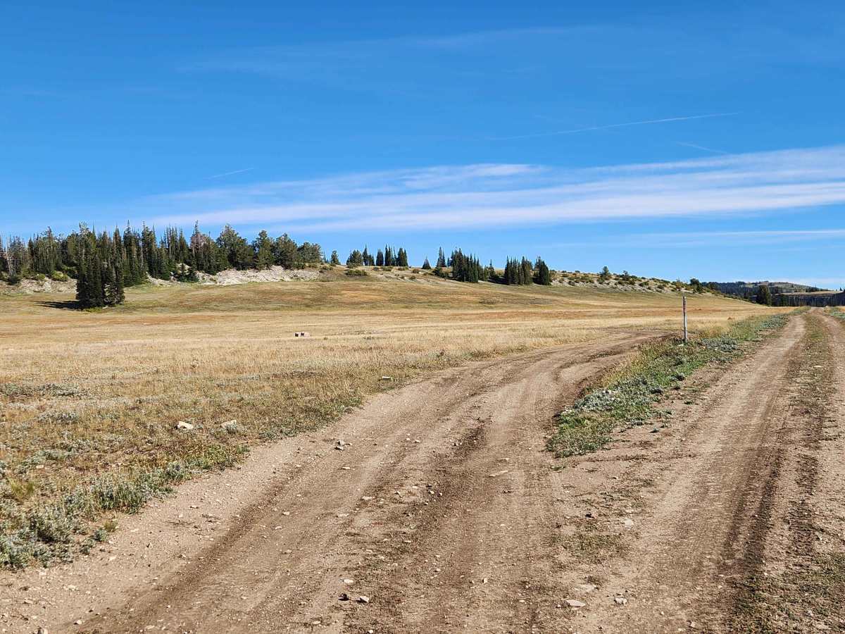 Becks Ridge - FS 52146 trail photo