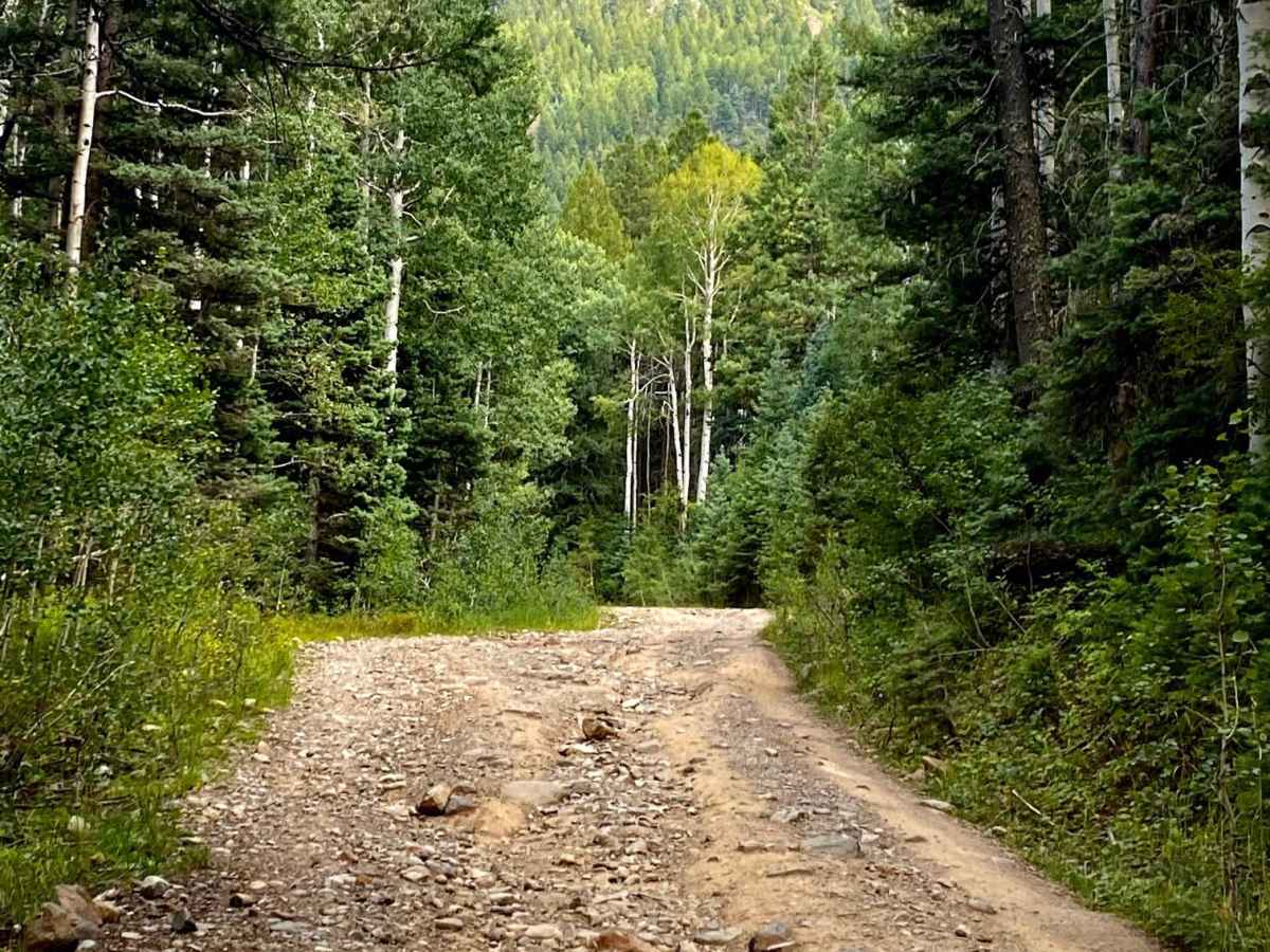 Quartz Meadow Rd #684 trail photo