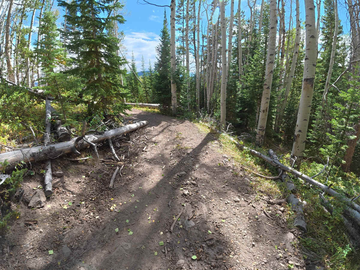 Beaver Lake Road photo 4
