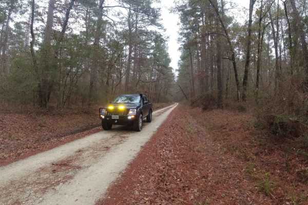 Davy Crockett National Forest Route