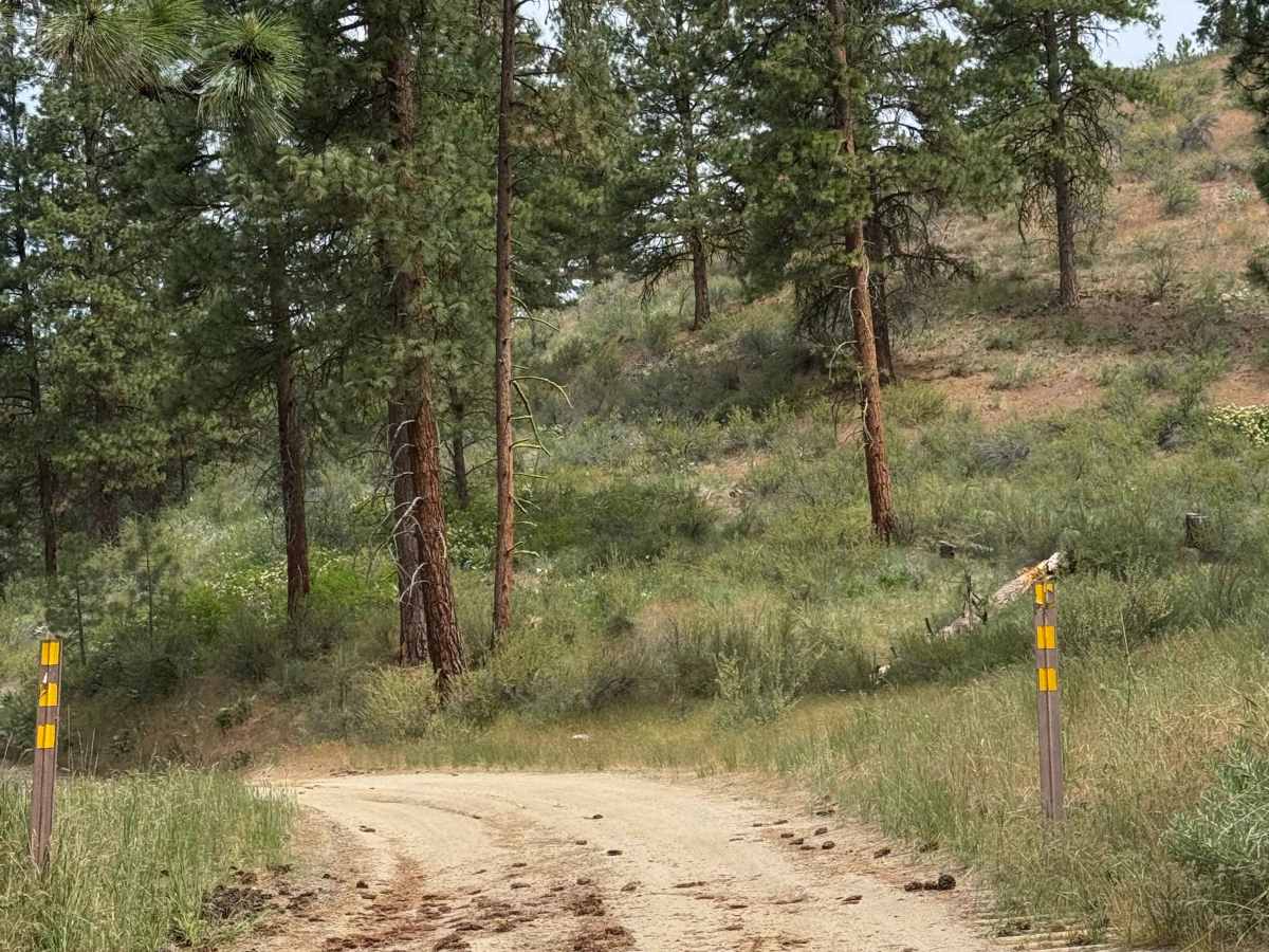 Cooper Mountain Road Southwest - FS 8020 photo 4