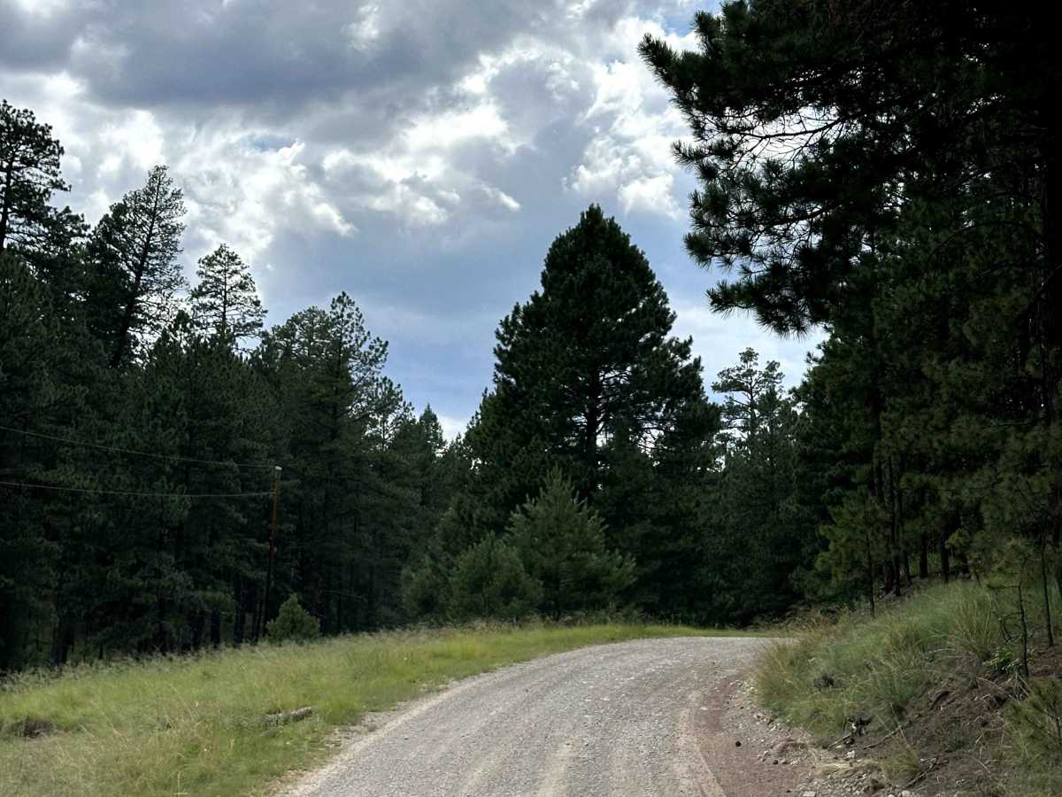 Spring Canyon photo 2