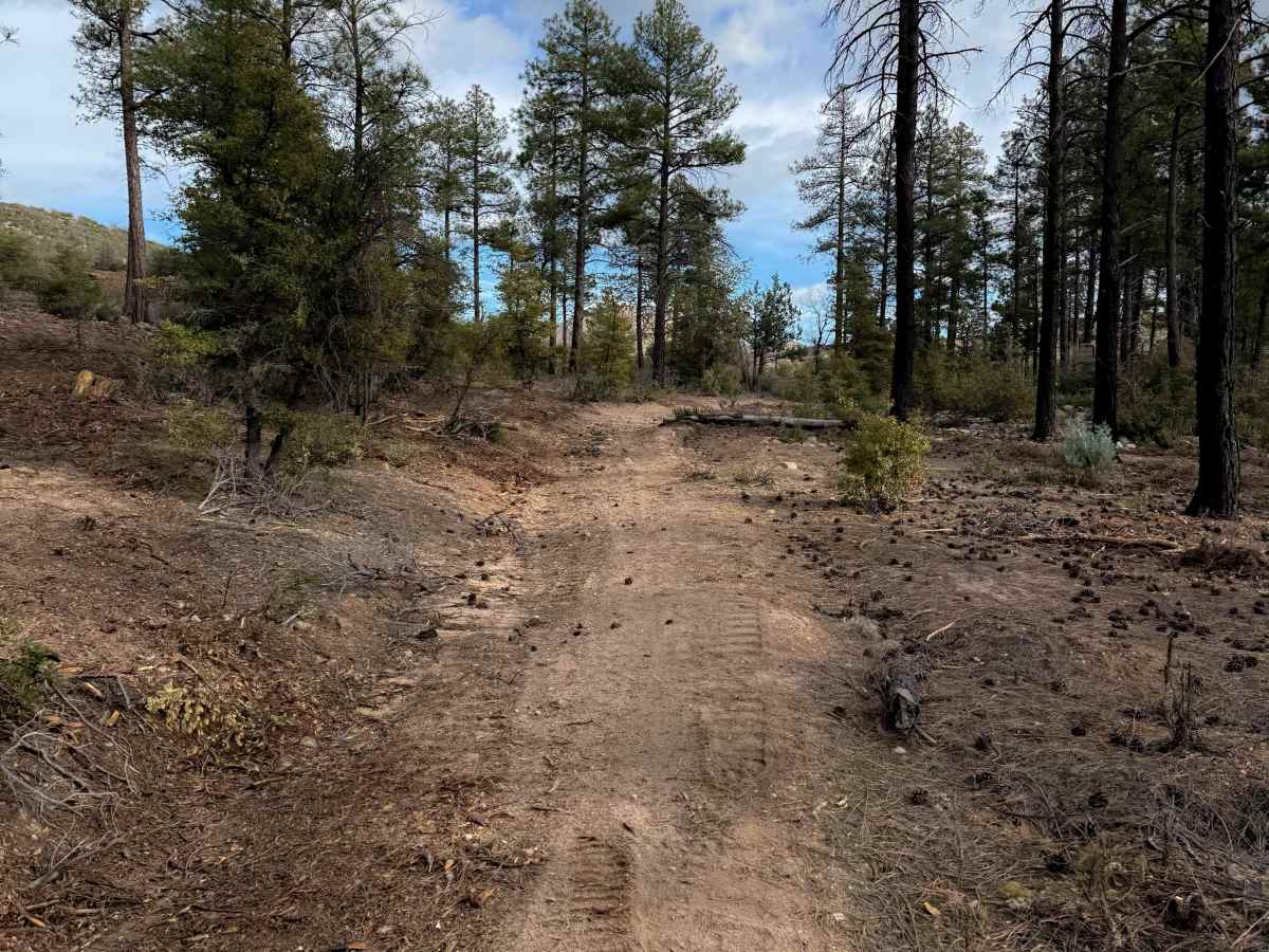 Cottonwood Trail #8 (ATV)  photo 6