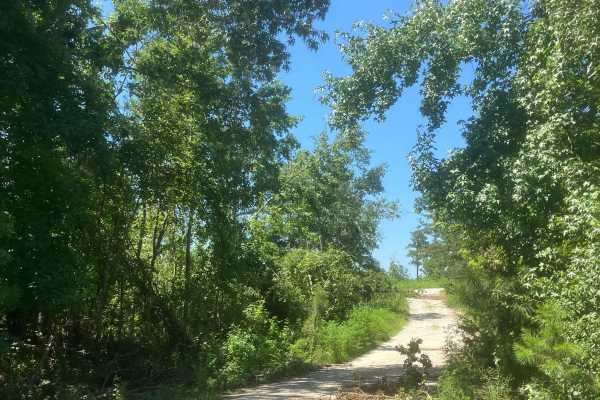 Mason Wildlife Trail South
