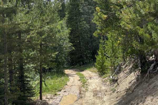 Parkview Mountain Mine Ingress