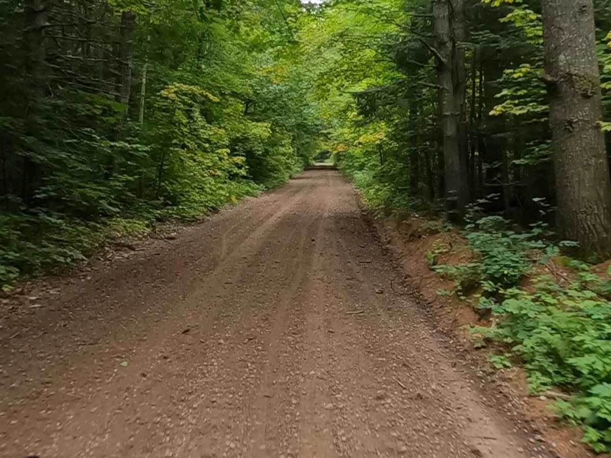 Rhody Creek Truck Trail/County Road 743 - FS 3080 photo 2
