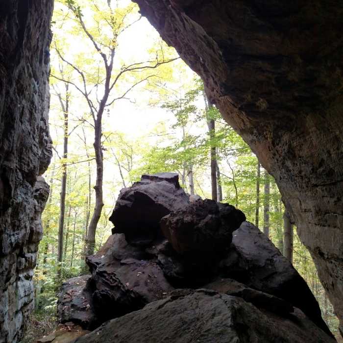 Near Blue Heron Loop Trail