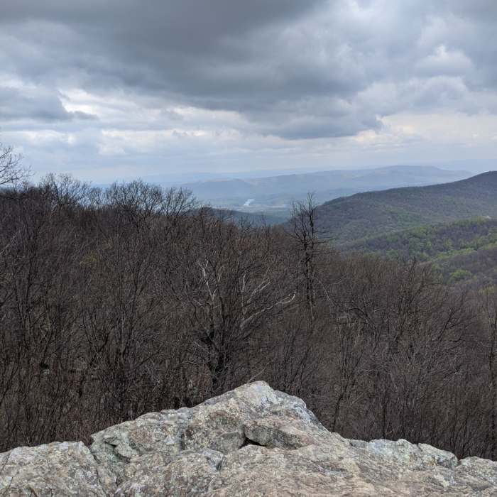 Near Compton Peak from Jenkins Gap