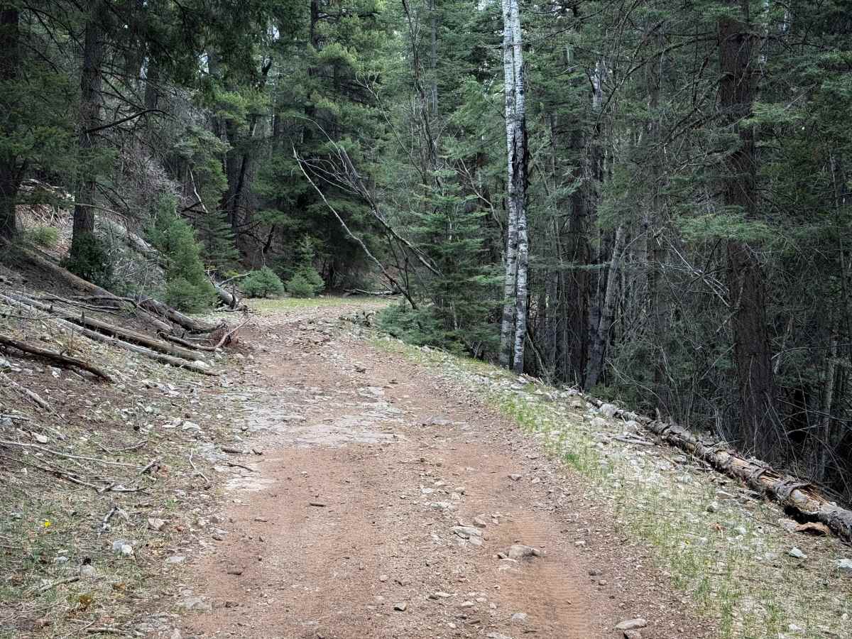 Benson Canyon Spur - FS 5005A  photo 6