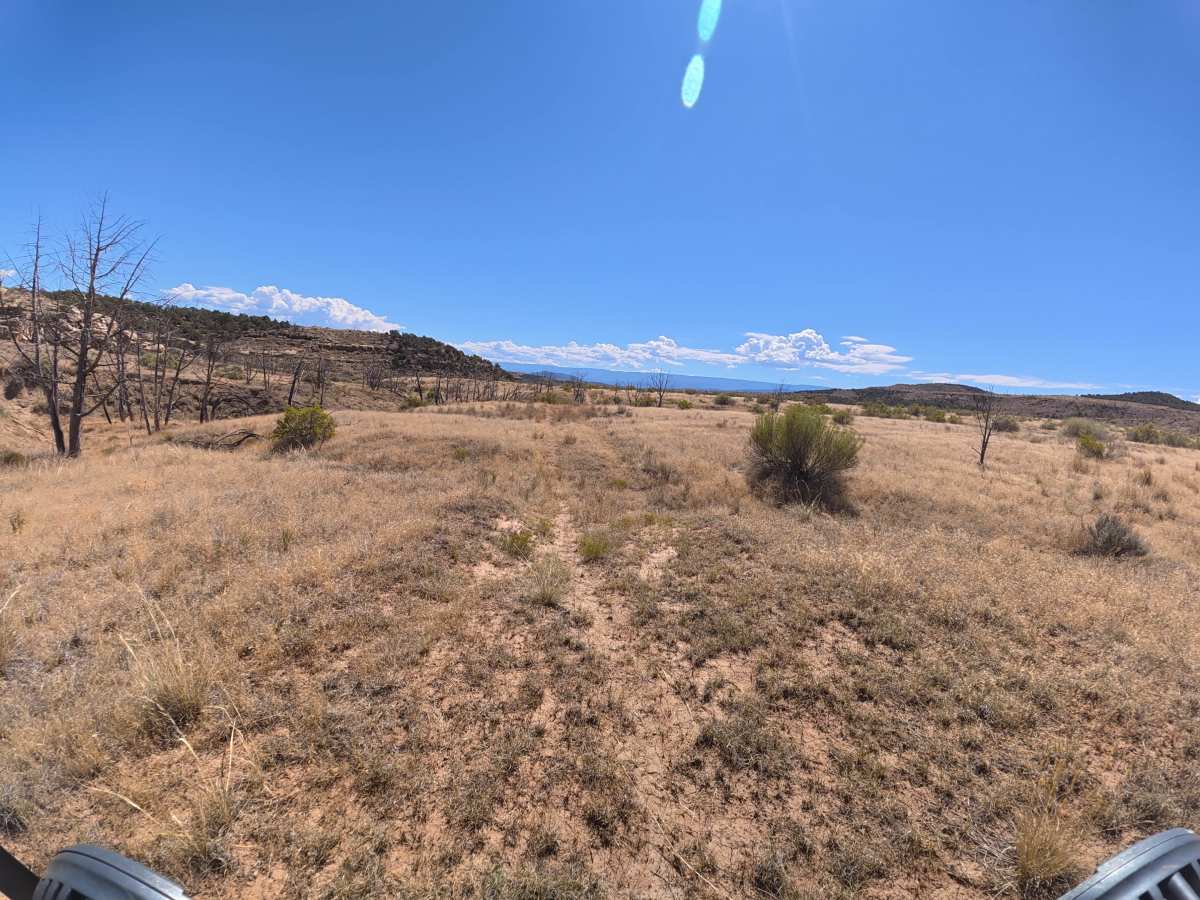 BLM 286B photo 2