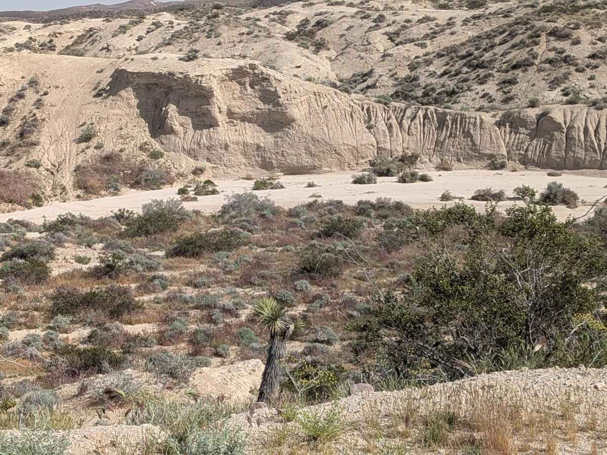 BLM LAP Dove Springs OHV photo 4