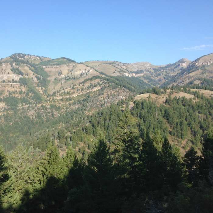 Near Old Jardine Juniper Trail