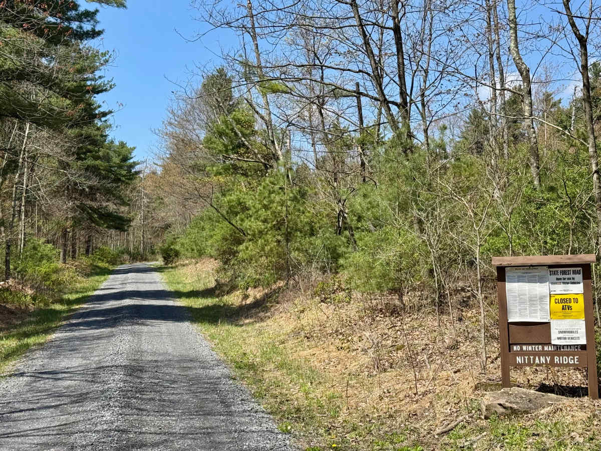 Nittany Ridge Road trail photo