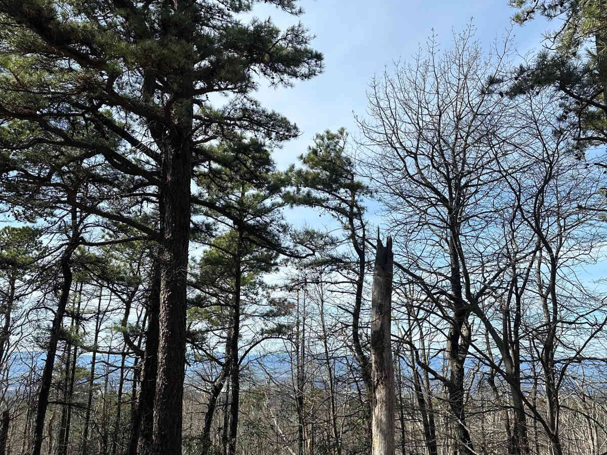 Middle Ridge Road  photo 2