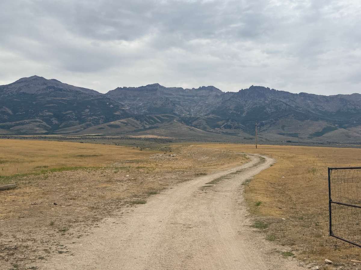 Weeks Access FS 57103 photo 6