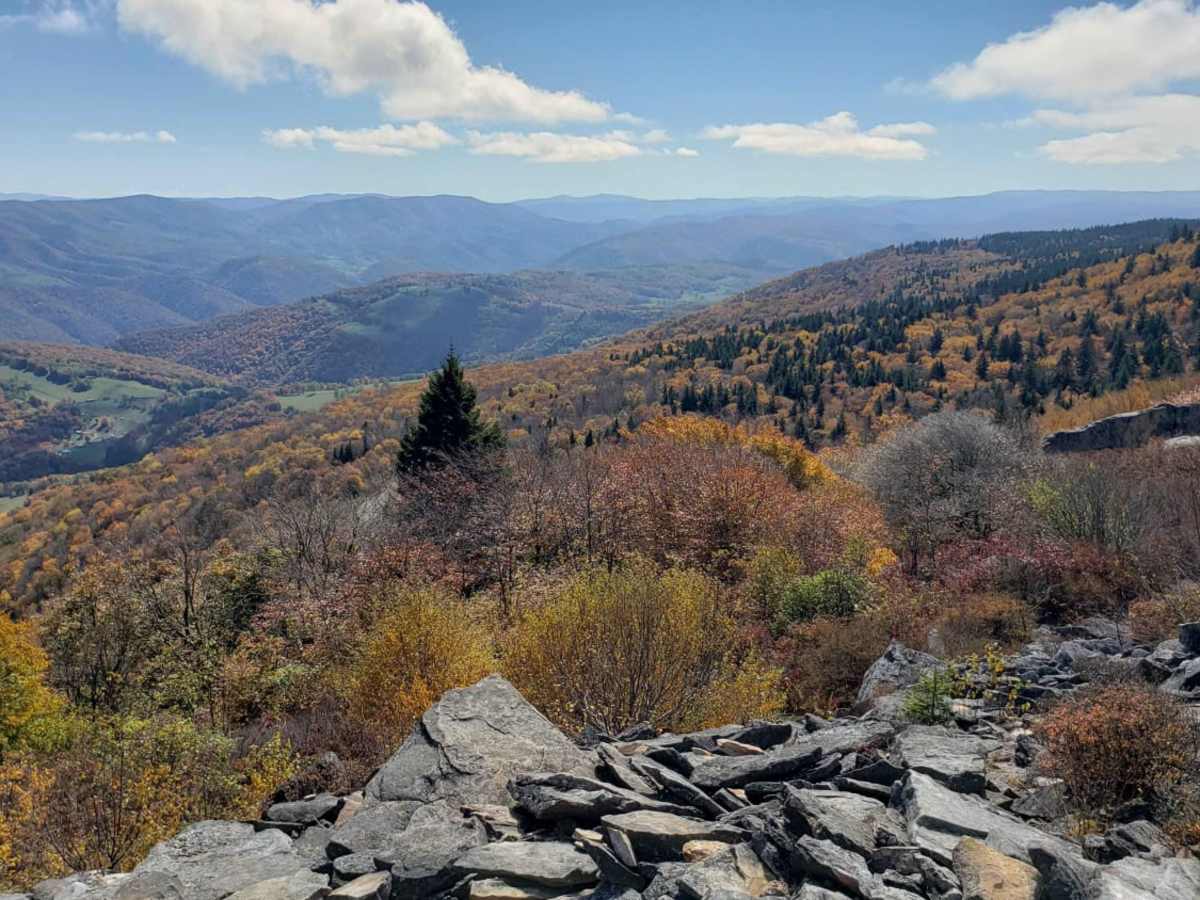 Osceola Spruce Knob photo 6