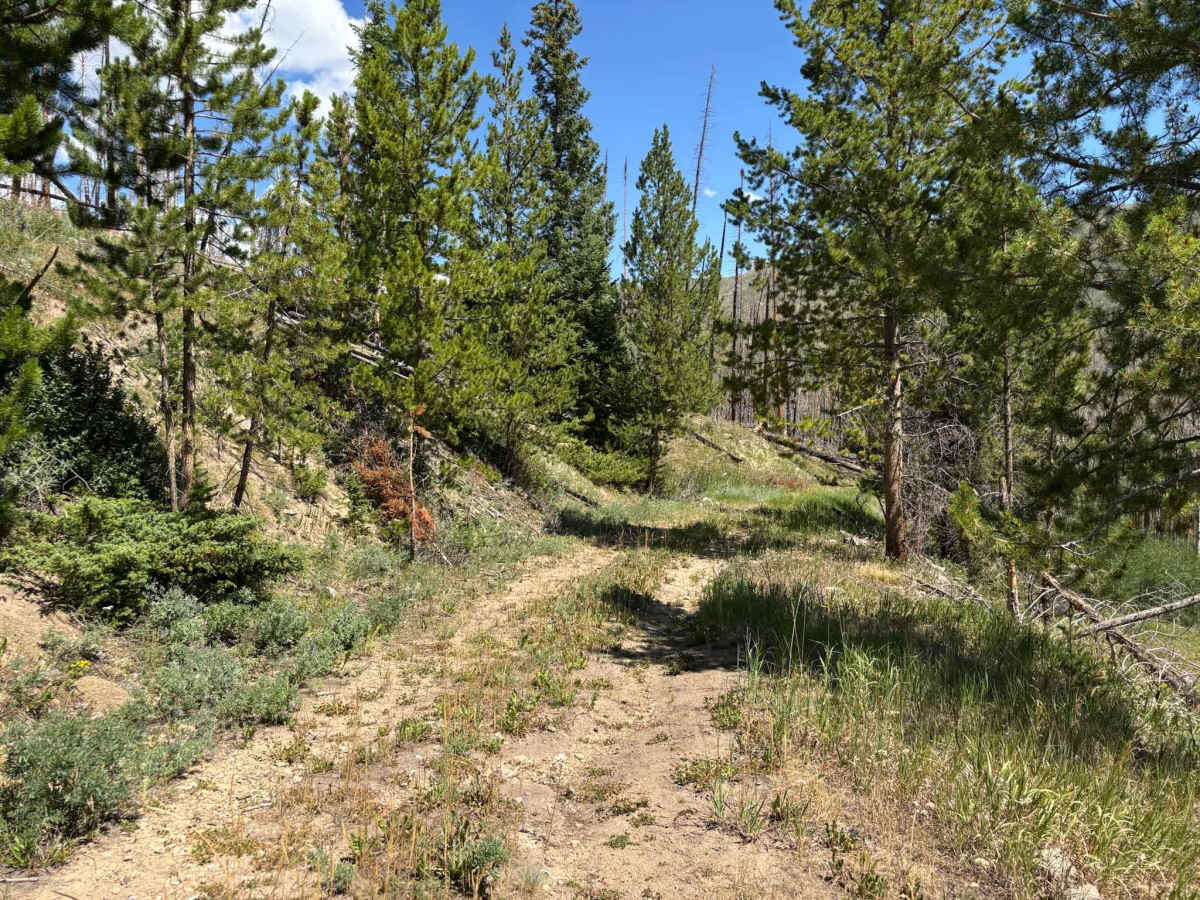 Kinney Creek photo 5