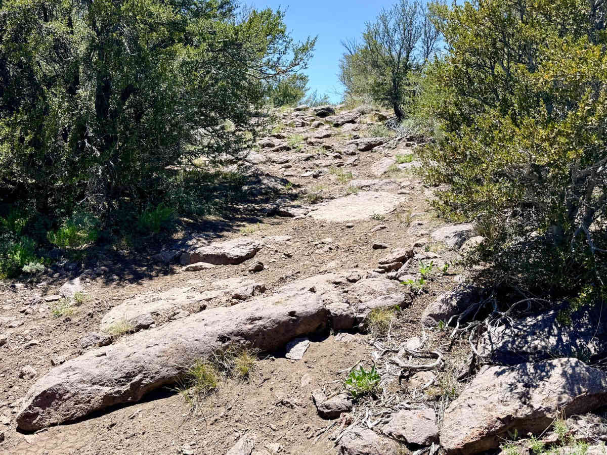 Charnac Brock Canyon - FS 43129 photo 2