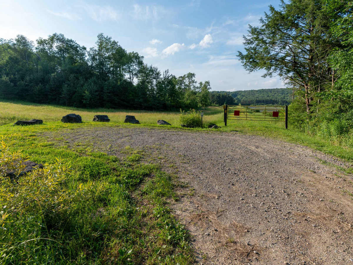 Fitch Hill Spur Forest Road photo 4