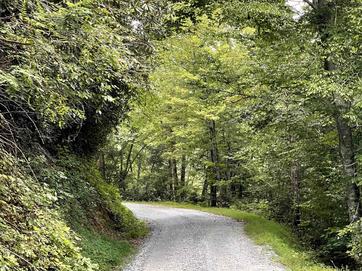 Shallow Creek Road photo 3