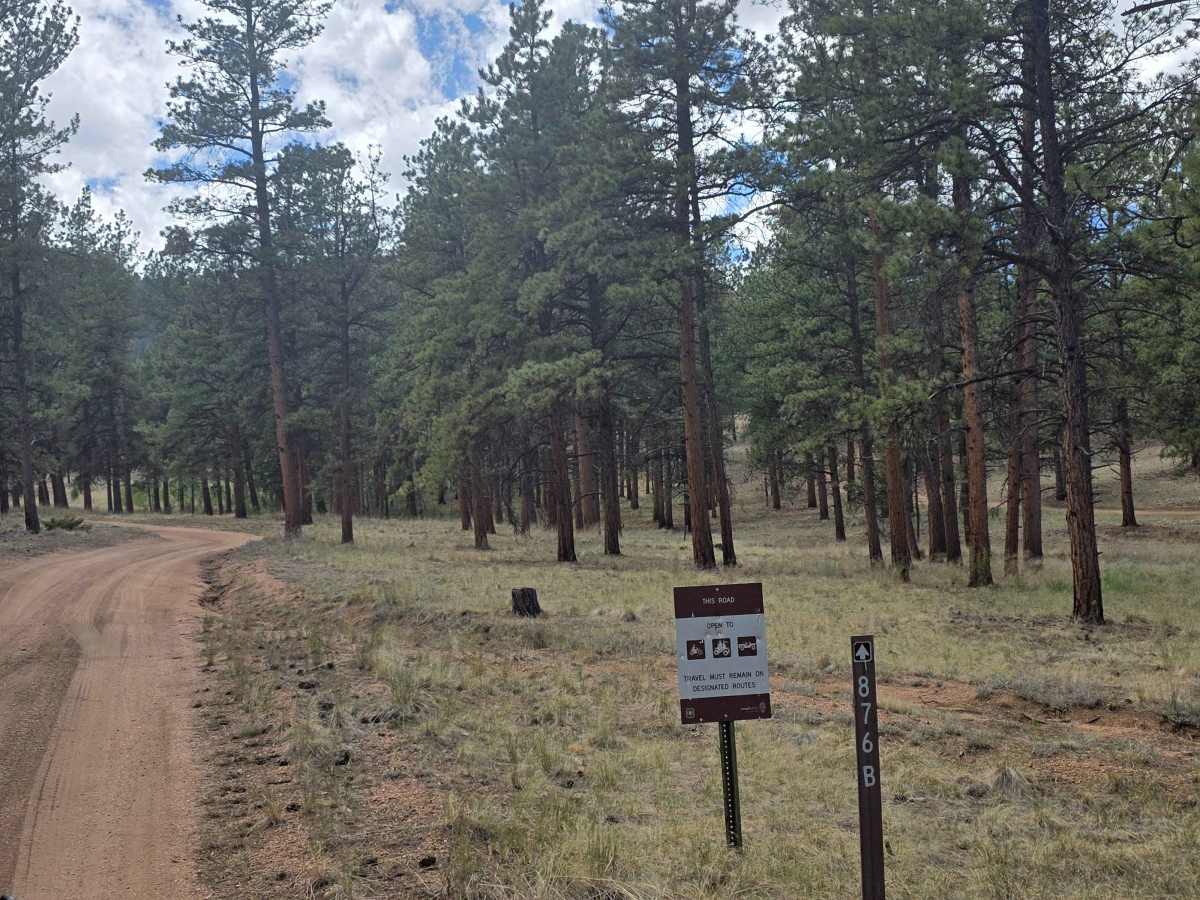 Borrow Pit Road - FS 876B trail photo