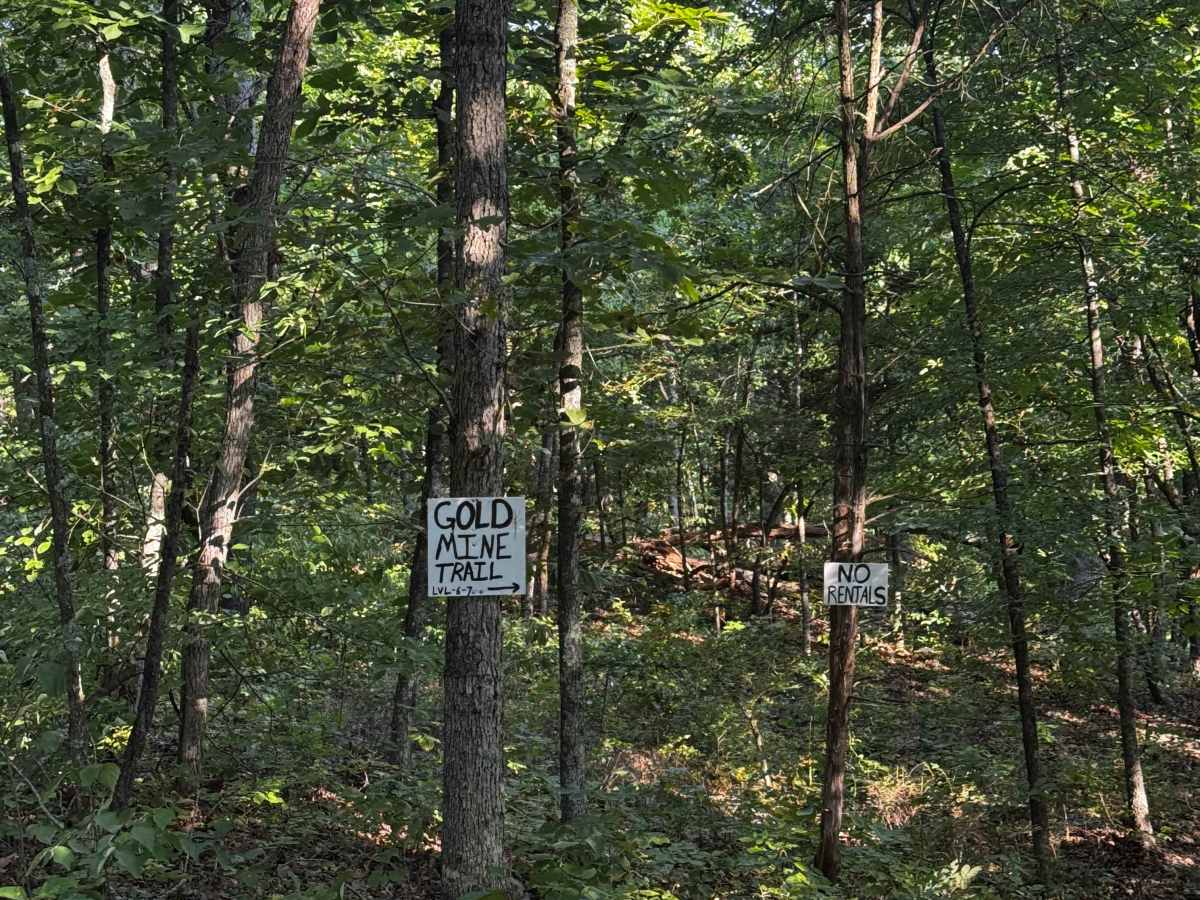 Gold Miner Trail trail photo