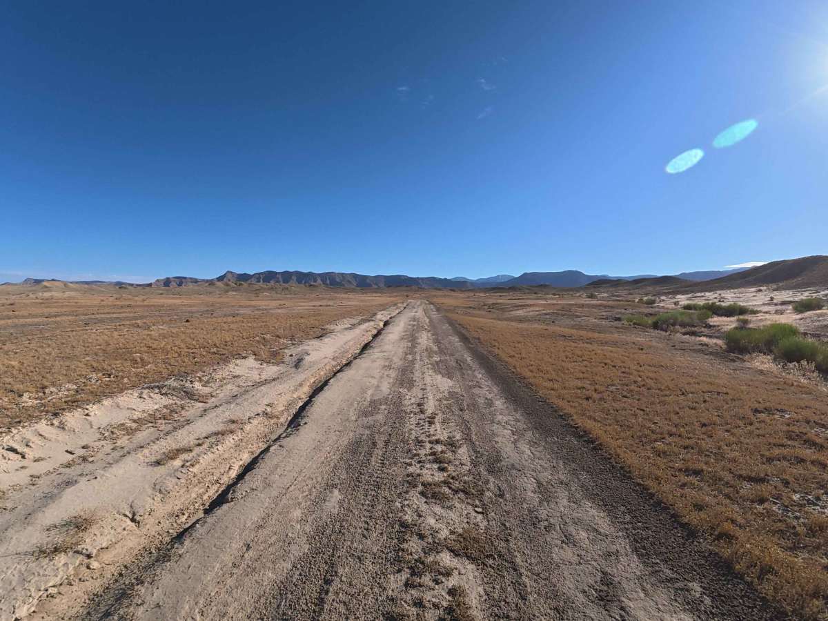 BLM 175 photo 2