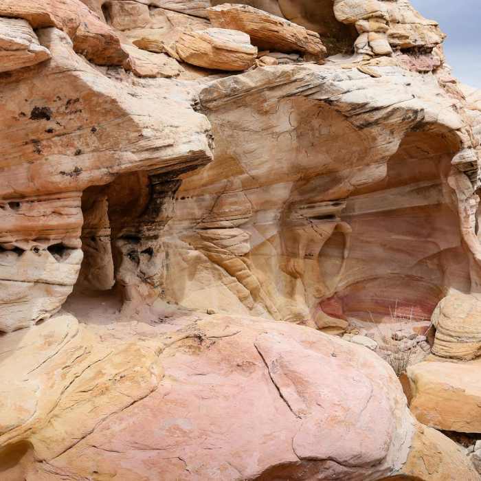 Near Petroglyph Trail