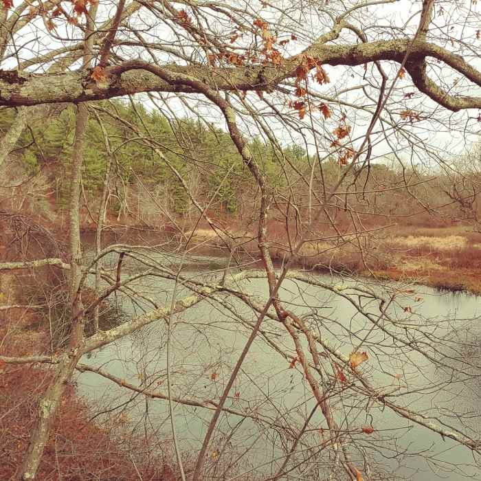 Near Rocky Narrows Loop