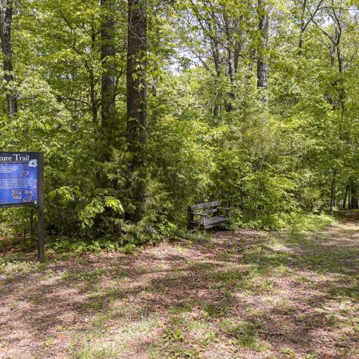 Near Dogwood Loop Trail Near Dogwood Loop Trail