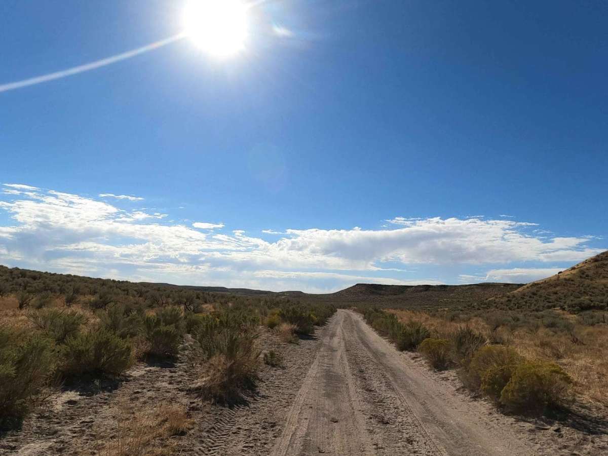 Bogus Ranch Road photo 4