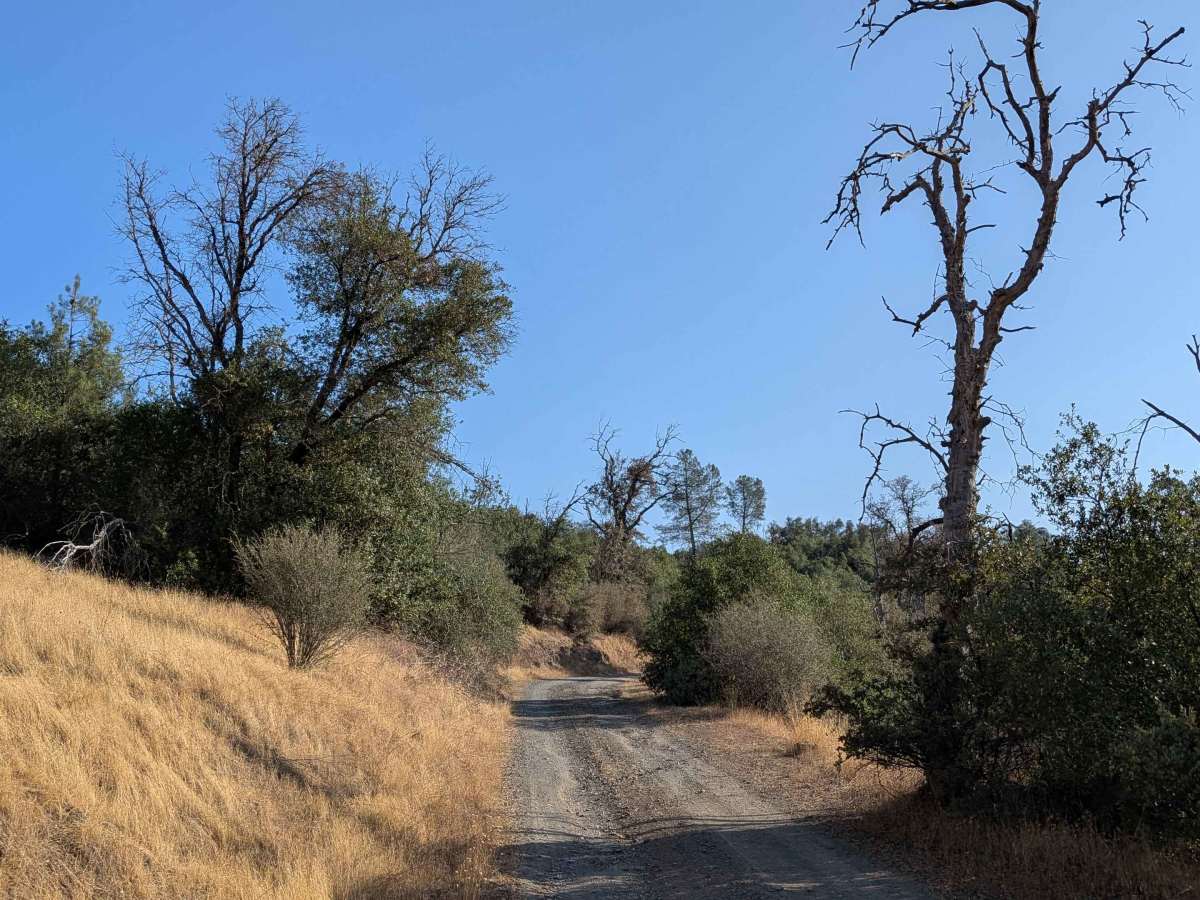 Bull Creek Road South photo 2