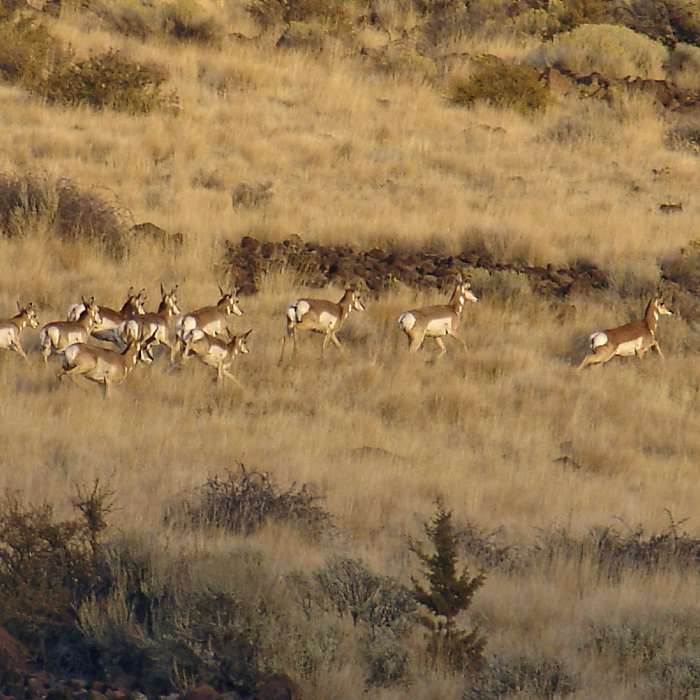 Near Modoc Line Rail Trail - Snowstorm Canyon Segment