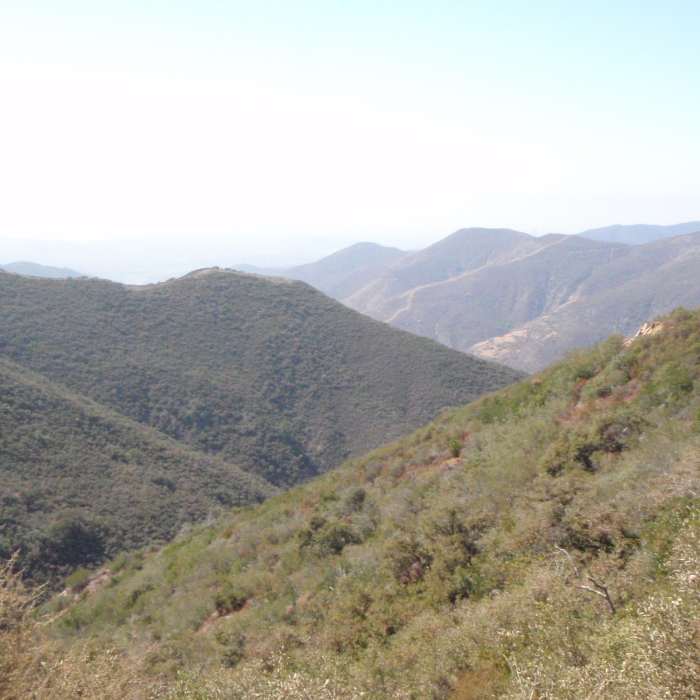 Near Maple Springs Road