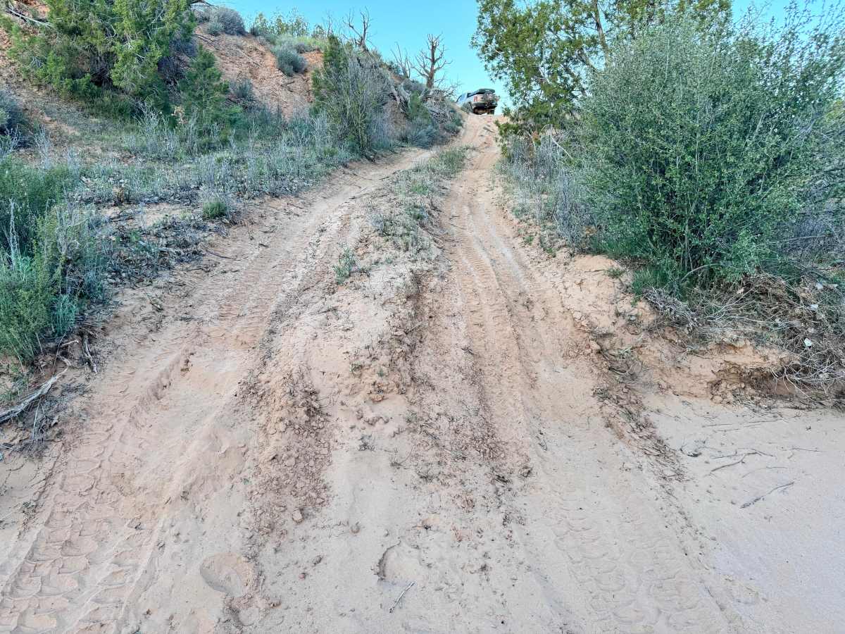 Sandy Bottoms photo 5