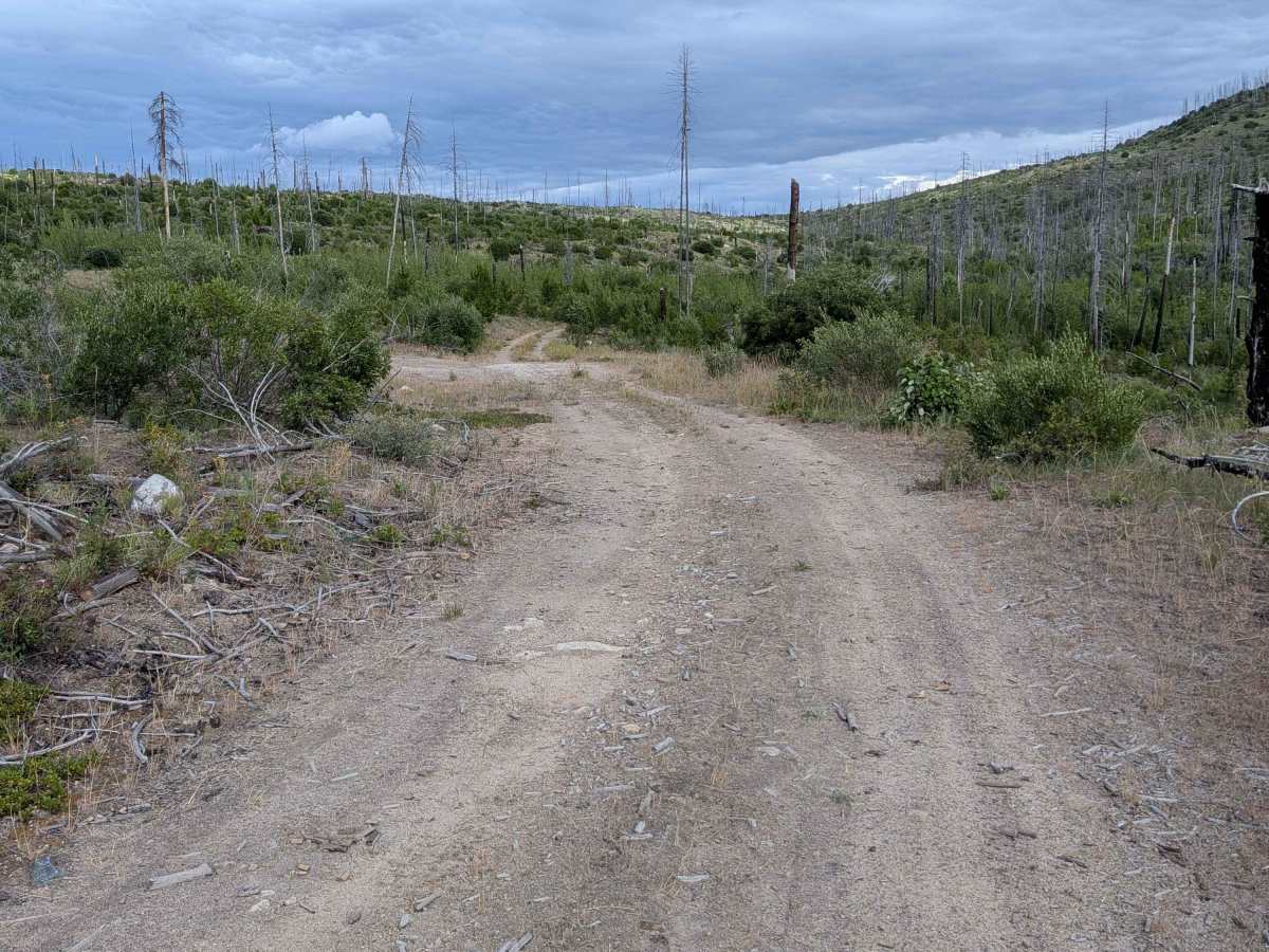 FS 4100-250 photo 4