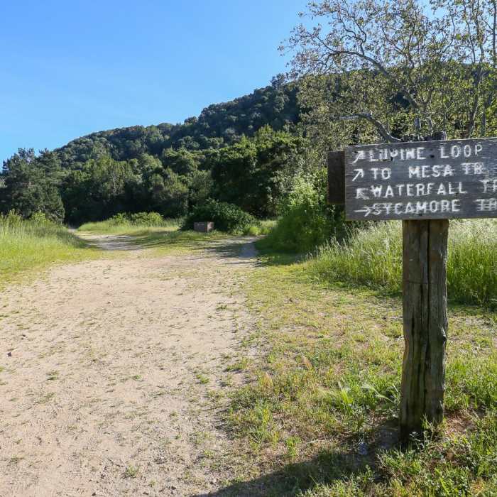 Near Waterfall Trail Near Waterfall Trail