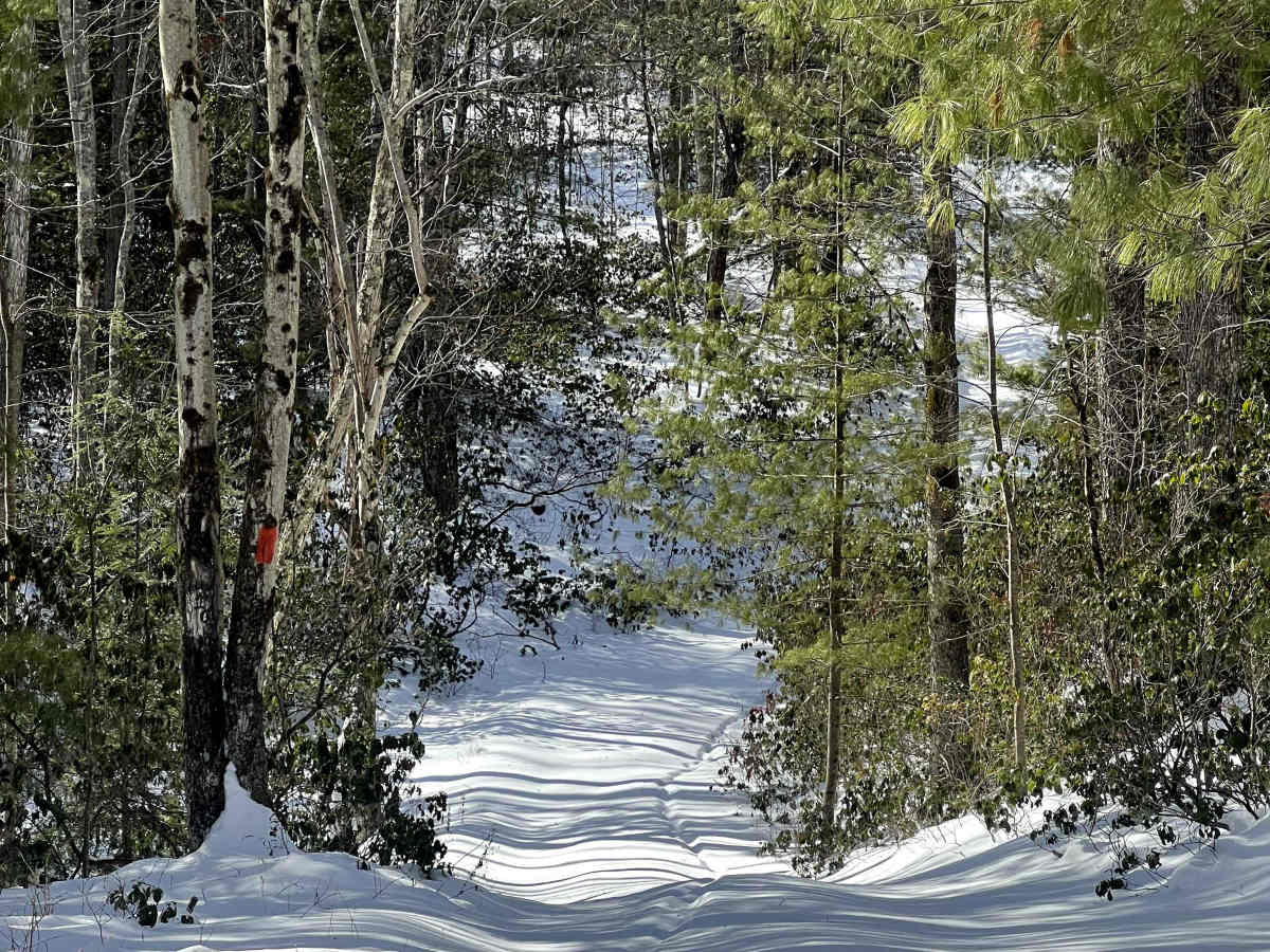 McElhenny Trail photo 2