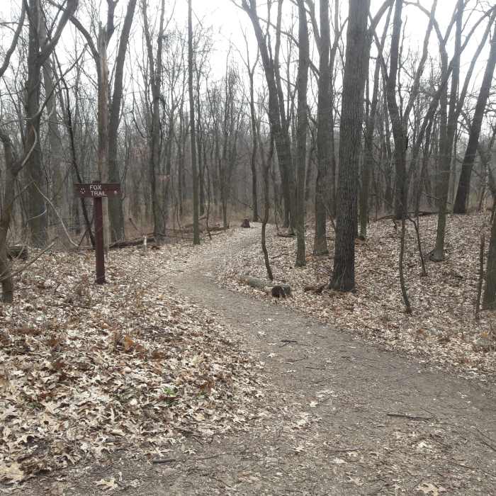 Near Chickadee Trail
