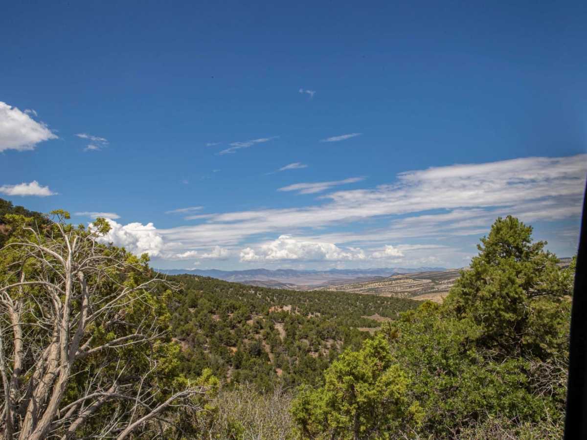 Soldier Canyon to Rex's Reservoir Road photo 3