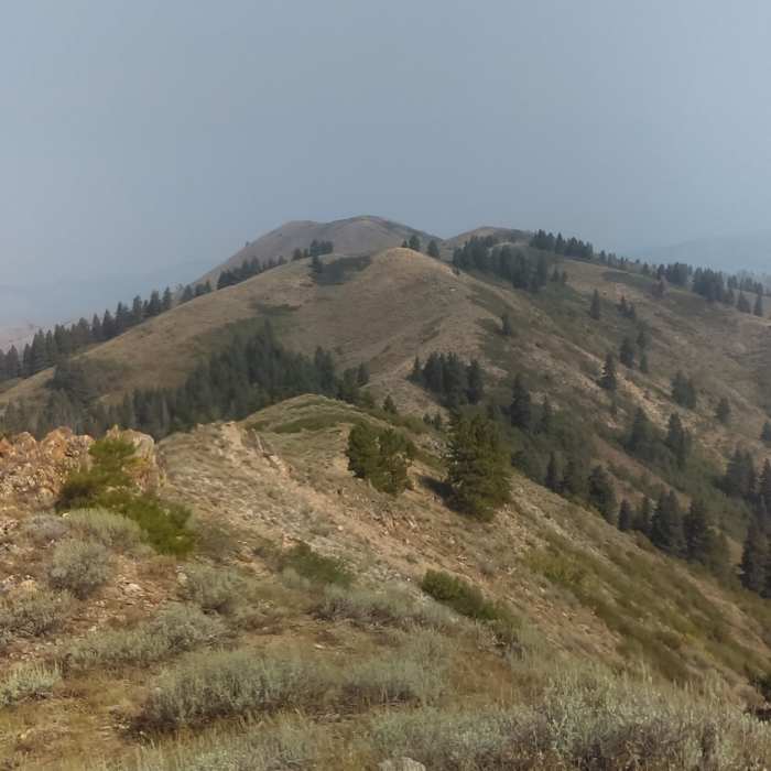 Near Mt Heinen: Southeast Ridge Trail
