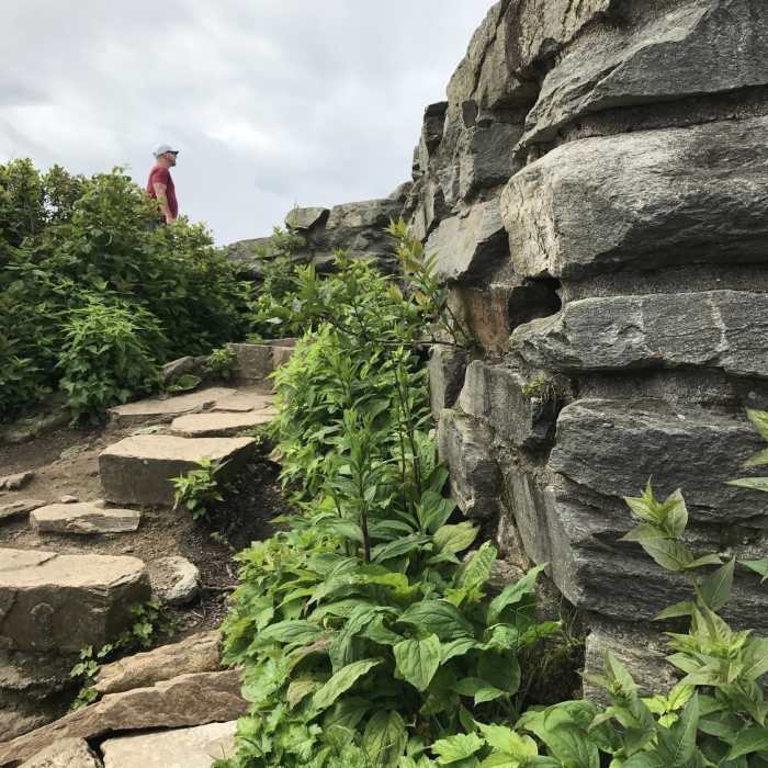 Near Craggy Pinnacle Trail