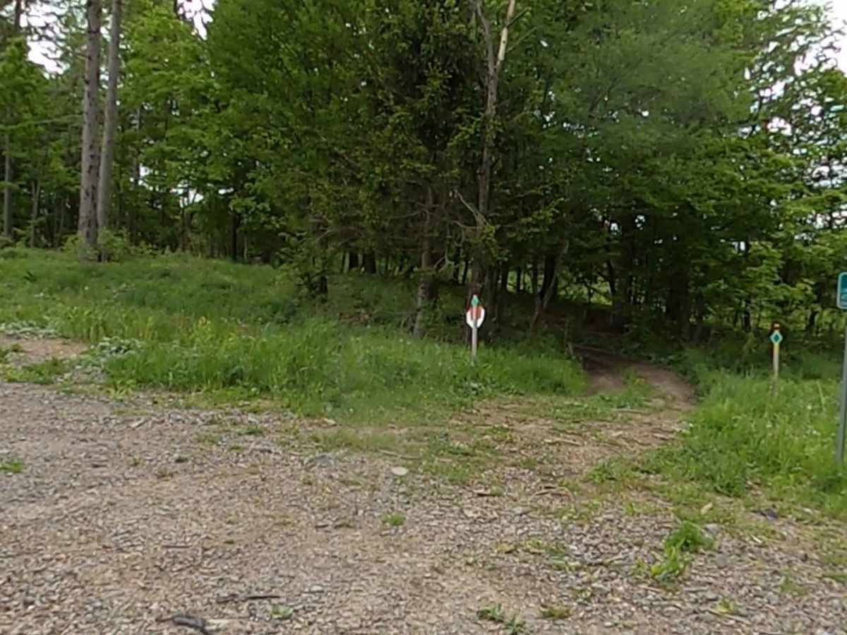 Lewis County Area A - Green Trail trail photo